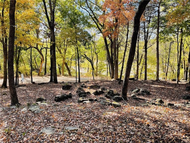 2759 County Road 411, Berryville, AR 72616 - photo 45
