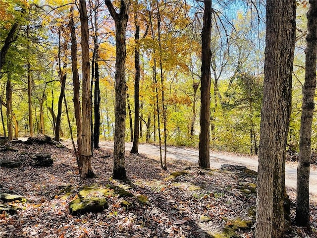 2759 County Road 411, Berryville, AR 72616 - photo 47