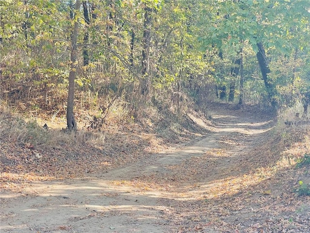 2759 County Road 411, Berryville, AR 72616 - photo 57