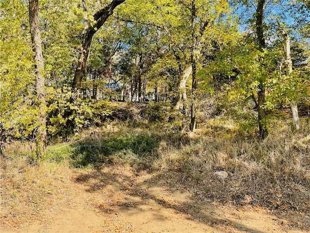 2759 County Road 411, Berryville, AR 72616 - photo 58