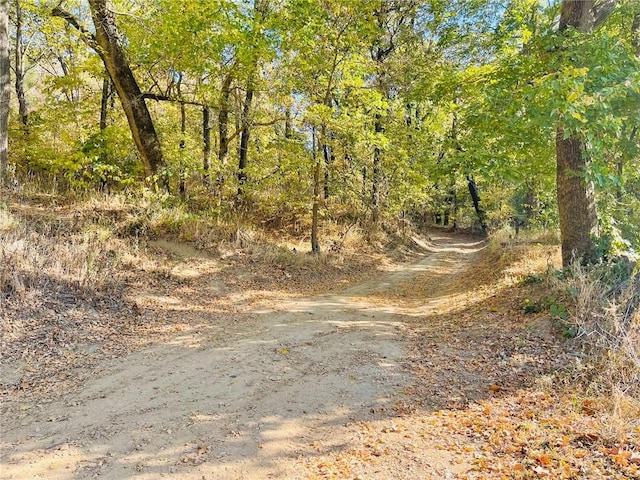 2759 County Road 411, Berryville, AR 72616 - photo 59