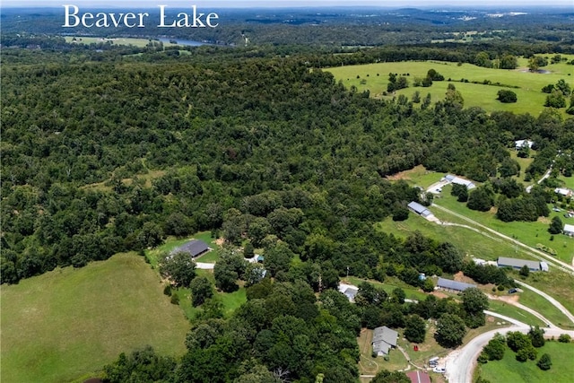 17706 Beav O Rama Rd, Fayetteville, AR 72703 - photo 51