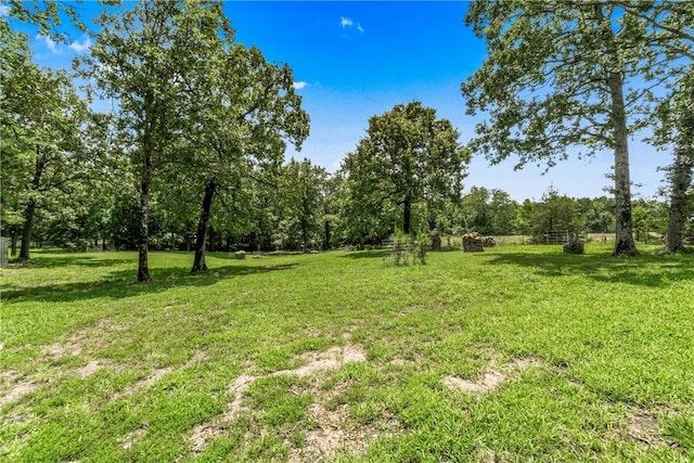 17706 Beav O Rama Rd, Fayetteville, AR 72703 - photo 48