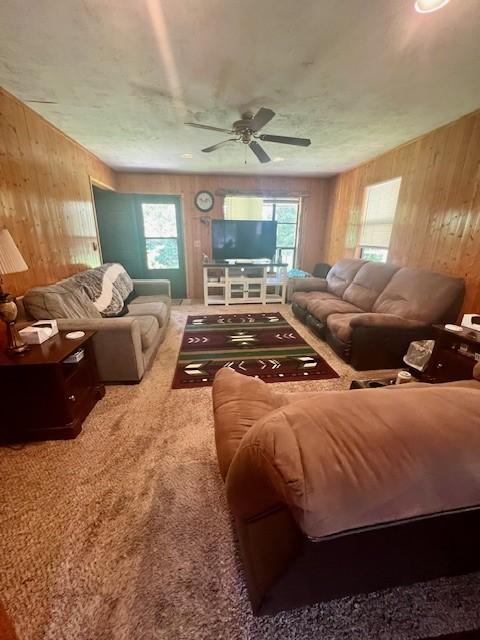 12774 Bunyard Wc 41 Rd, Winslow, AR 72959 - photo 7