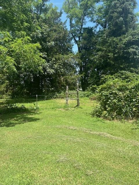 12774 Bunyard Wc 41 Rd, Winslow, AR 72959 - photo 20