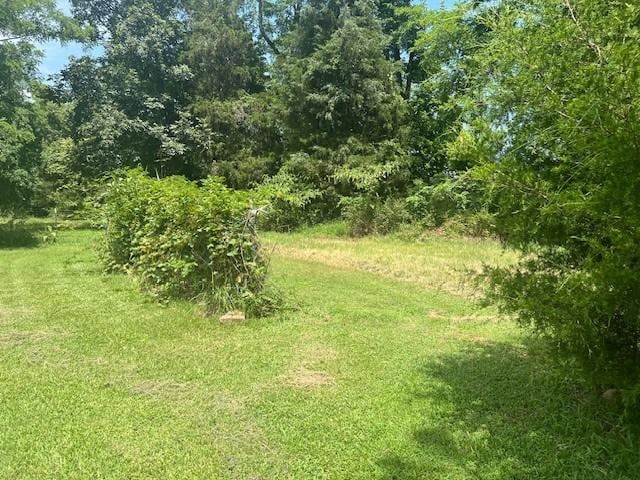 12774 Bunyard Wc 41 Rd, Winslow, AR 72959 - photo 21