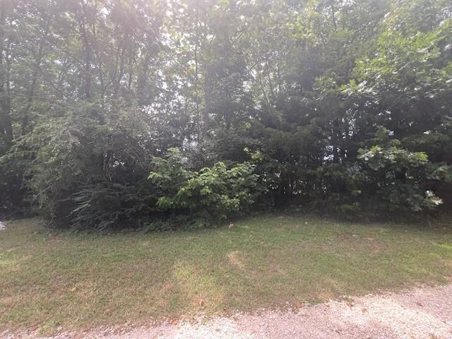 12774 Bunyard Wc 41 Rd, Winslow, AR 72959 - photo 27