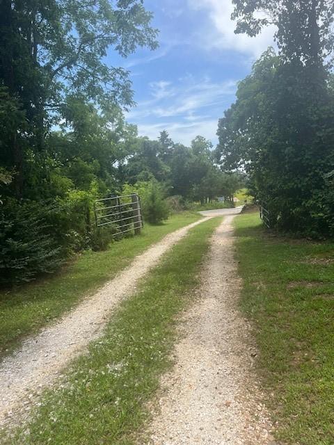 12774 Bunyard Wc 41 Rd, Winslow, AR 72959 - photo 30