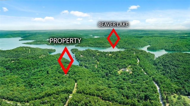 20235 Copper Ridge Rd, Rogers, AR 72756 - photo 30