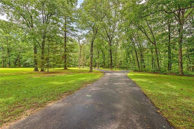 200 Kayla Dr, Rogers, AR 72756 - photo 58