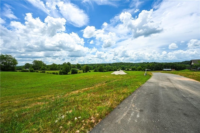 541 Reed Valley Rd, Fayetteville, AR 72704 - photo 5