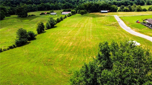 541 Reed Valley Rd, Fayetteville, AR 72704 - photo 6