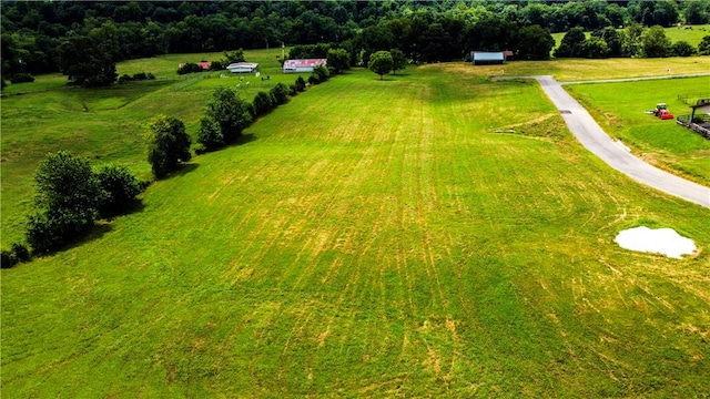 541 Reed Valley Rd, Fayetteville, AR 72704 - photo 7