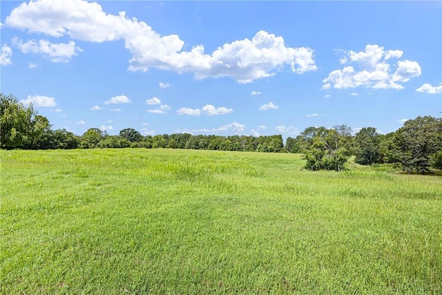 1034 Simba Rd, Atkins, AR 72823 - photo 34