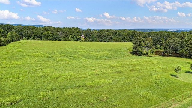 1034 Simba Rd, Atkins, AR 72823 - photo 40