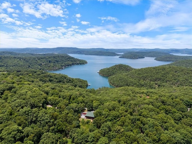 7 Viewpoint Dr, Eureka Springs, AR 72631 - photo 1