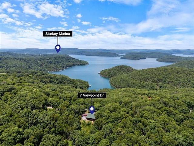 7 Viewpoint Dr, Eureka Springs, AR 72631 - photo 27