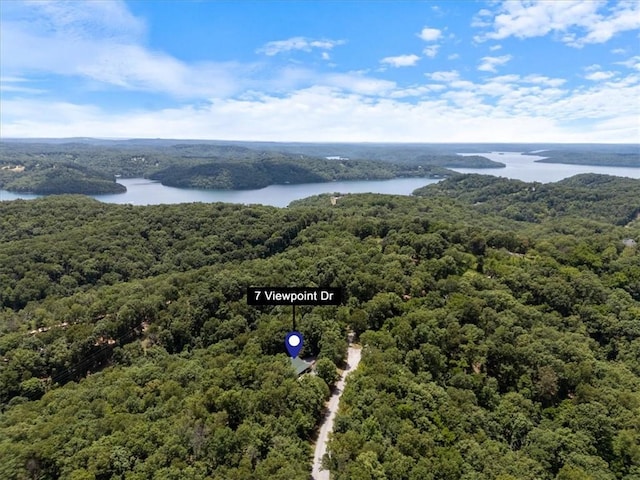 7 Viewpoint Dr, Eureka Springs, AR 72631 - photo 30