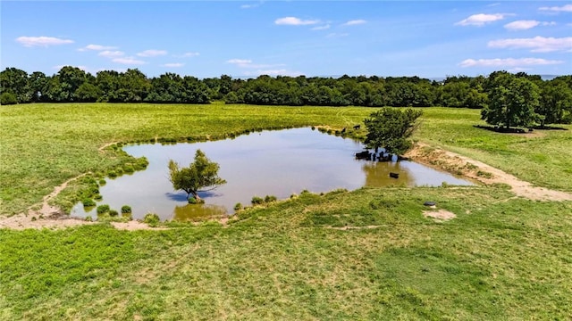 11398 N Wedington Blacktop Rd, Lincoln, AR 72744 - photo 10