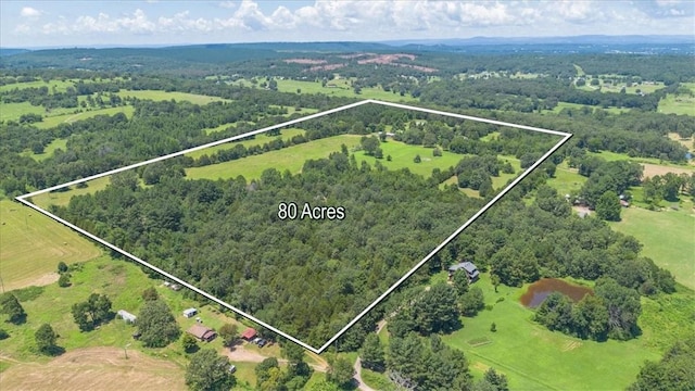 5401 Crestwood Ln, Ozark, AR 72949 - photo 59