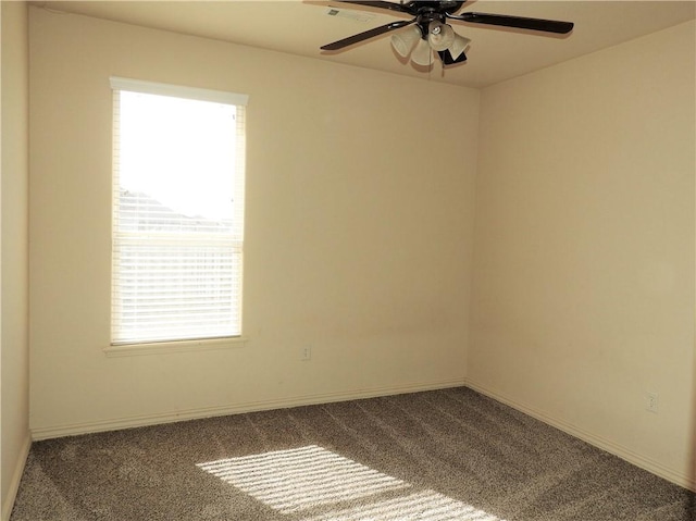 420 Torino Pl, Centerton, AR 72719 - photo 8