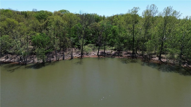 55746 E 315th Rd, Jay, OK 74346 - photo 5