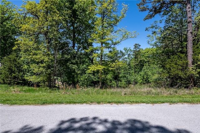 LOT72 Village Rd, Rogers, AR 72756 - photo 15