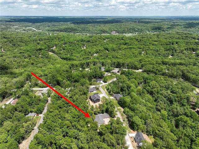 10 Clifford Ln, Bella Vista, AR 72715 - photo 2