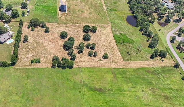 610 Walthall Rd, Russellville, AR 72802 - photo 7