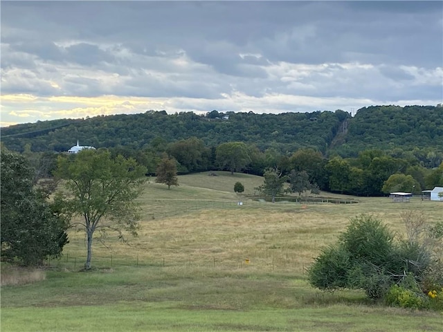 610 Walthall Rd, Russellville, AR 72802 - photo 2