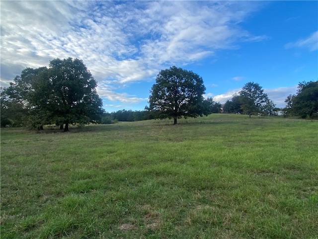 610 Walthall Rd, Russellville, AR 72802 - photo 3