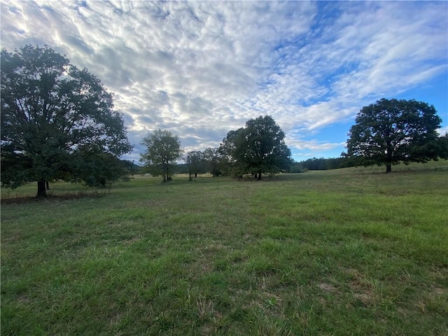 610 Walthall Rd, Russellville, AR 72802 - photo 4