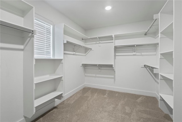 1210 Stoneybrook Ln, Bentonville, AR 72713 - photo 25