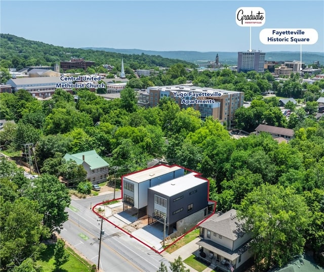 207 W Lafayette, Fayetteville, AR 72701 - photo 2