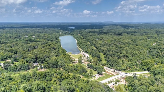 413 Spring St, Rogers, AR 72756 - photo 34