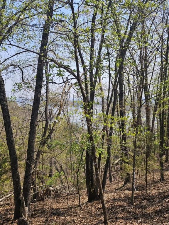 TBD Ventris Rd, Garfield, AR 72732 - photo 6