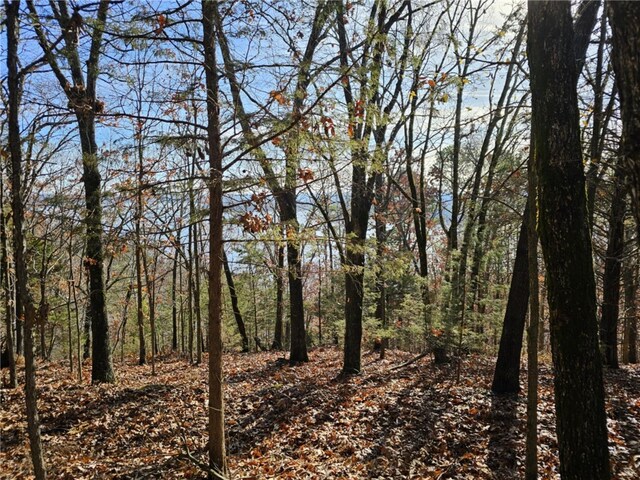 TBD Ventris Rd, Garfield, AR 72732 - photo 7