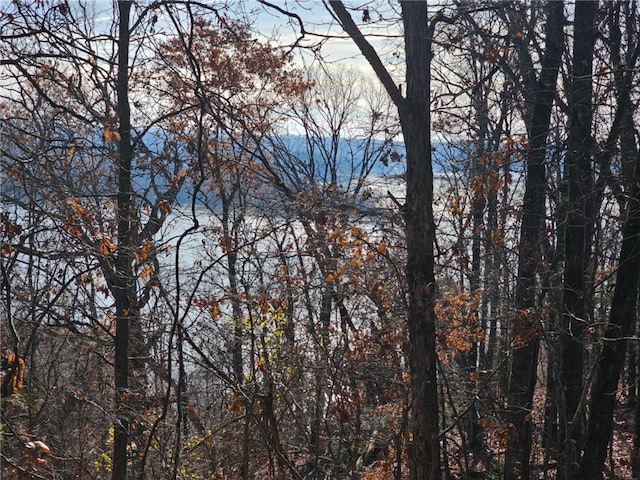 TBD Ventris Rd, Garfield, AR 72732 - photo 5