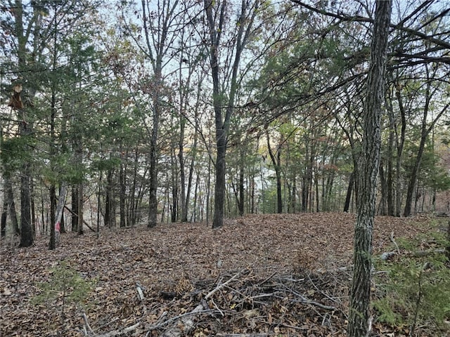 TBD Ventris Rd, Garfield, AR 72732 - photo 9