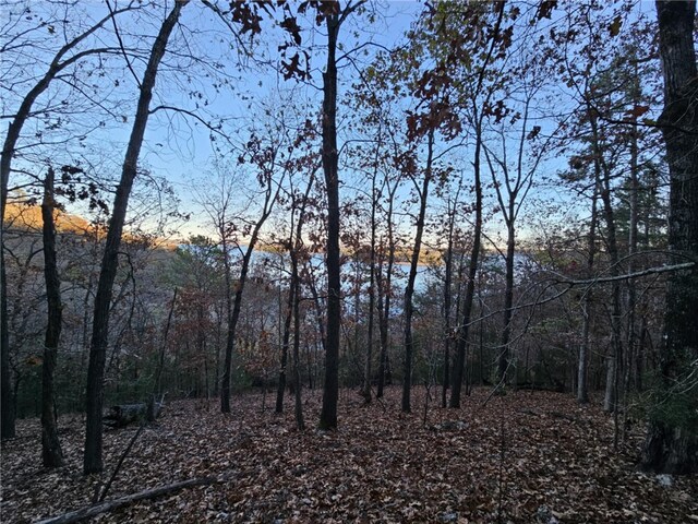 TBD Ventris Rd, Garfield, AR 72732 - photo 10