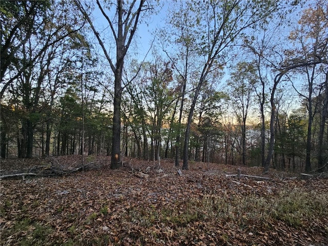TBD Ventris Rd, Garfield, AR 72732 - photo 11