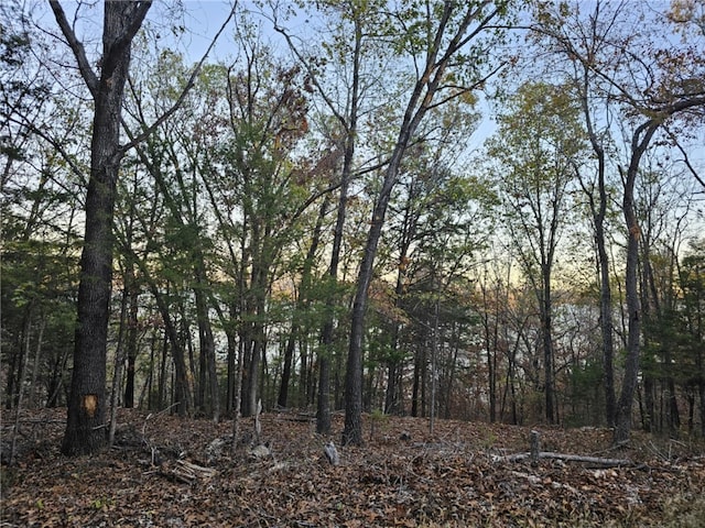 TBD Ventris Rd, Garfield, AR 72732 - photo 12