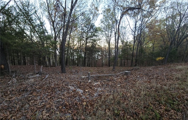 TBD Ventris Rd, Garfield, AR 72732 - photo 13