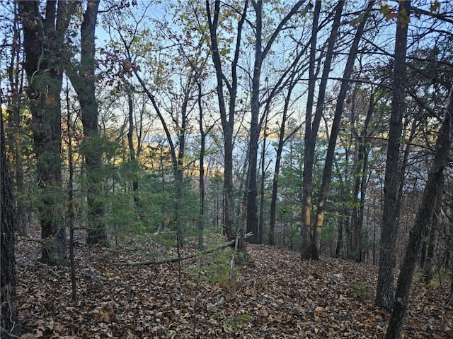 TBD Ventris Rd, Garfield, AR 72732 - photo 15