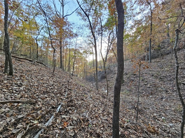 TBD Ventris Rd, Garfield, AR 72732 - photo 16