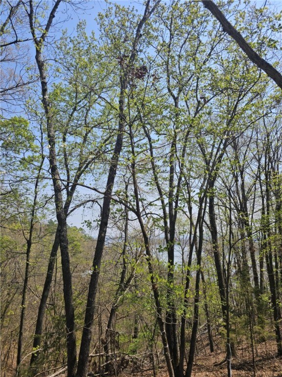 TBD Ventris Rd, Garfield, AR 72732 - photo 17