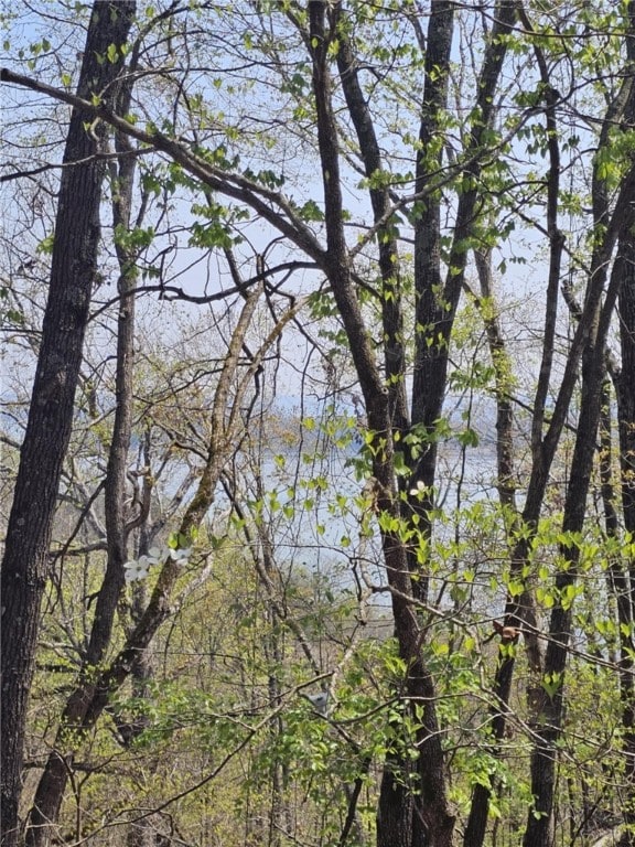 TBD Ventris Rd, Garfield, AR 72732 - photo 18