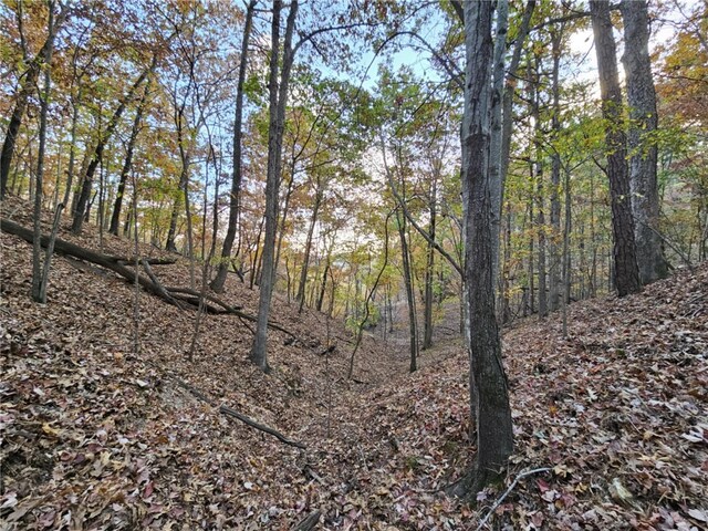 TBD Ventris Rd, Garfield, AR 72732 - photo 19