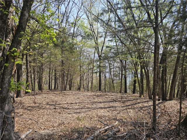 TBD Ventris Rd, Garfield, AR 72732 - photo 20