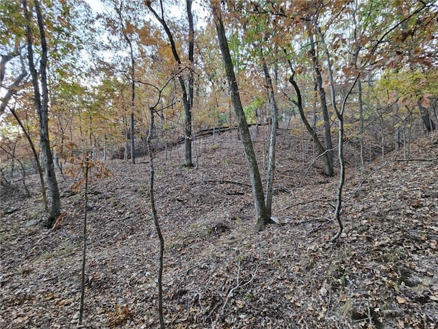 TBD Ventris Rd, Garfield, AR 72732 - photo 21